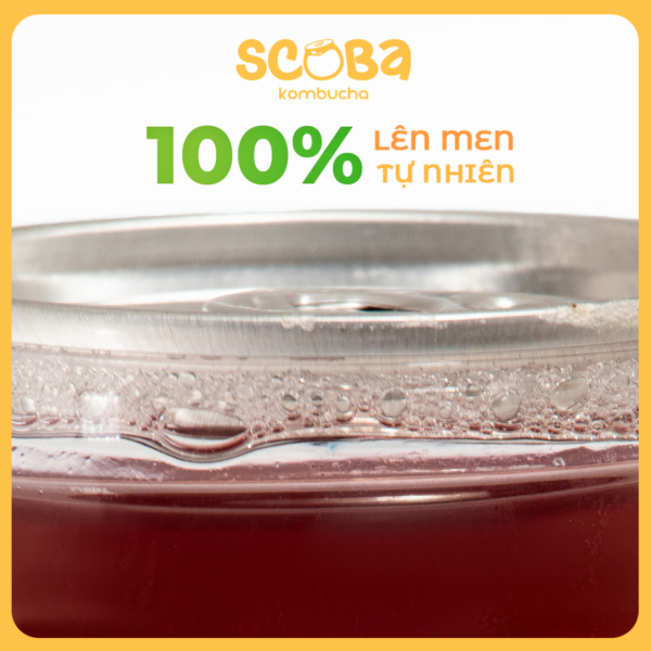 Second image of [MUA 5 ĐƯỢC 6] Trà lên men Scoba Kombucha - Vị Ổi Hồng - Hỗ trợ sức khoẻ tiêu hoá - 330ml