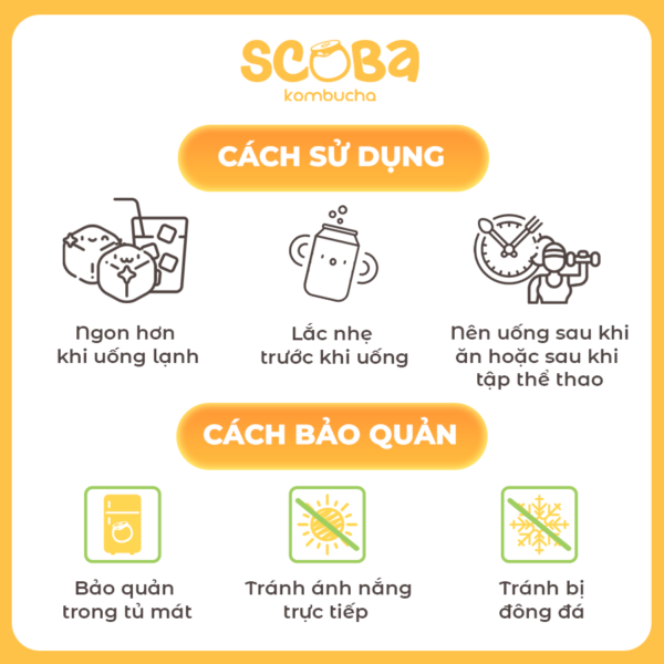 Second image of Trà lên men Scoba Kombucha - Khoẻ dáng Đẹp da -Mix vị - 185ml