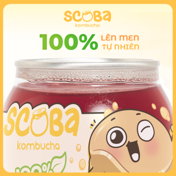 Second image of [MUA 5 ĐƯỢC 6] Trà lên men Scoba Kombucha - Hỗ trợ tăng đề kháng đường ruột - Vị Ổi Hồng - 185ml