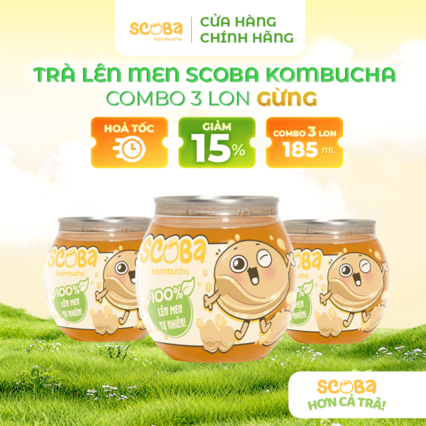 Combo 3 lon Trà lên men Scoba Kombucha - Thanh lọc cơ thể - Vị GỪNG - 185ml