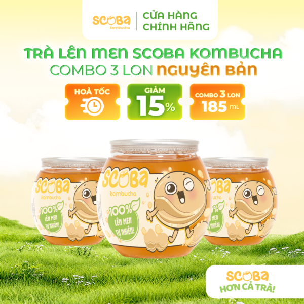 Combo 3 lon Trà lên men Scoba Kombucha - Thanh lọc cơ thể - Vị NGUYÊN BẢN - 185ml