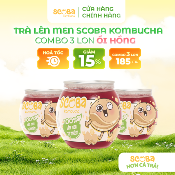 Combo 3 lon Trà lên men Scoba Kombucha - Thanh lọc cơ thể - Vị ỔI HỒNG - 185ml
