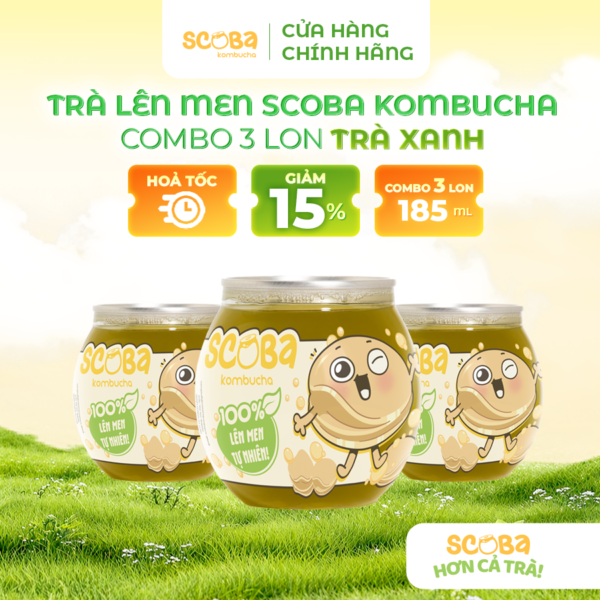 Combo 3 lon Trà lên men Scoba Kombucha - Thanh lọc cơ thể - Vị TRÀ XANH - 185ml