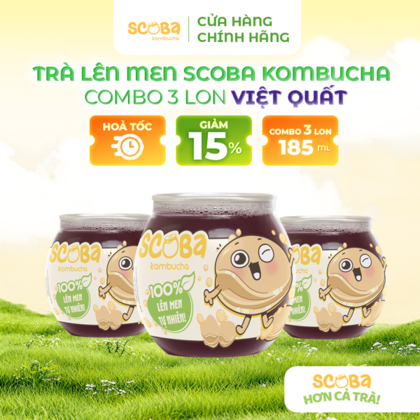 Combo 3 lon Trà lên men Scoba Kombucha - Thanh lọc cơ thể - Vị VIỆT QUẤT - 185ml