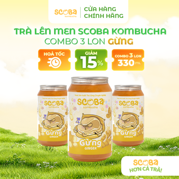 Combo 3 lon Trà lên men Scoba Kombucha - Hỗ trợ tăng cường hệ miễn dịch - Vị GỪNG - 330ml