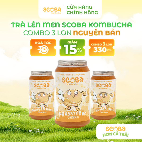 Combo 3 lon Trà lên men Scoba Kombucha - Hỗ trợ tăng đề kháng - Vị NGUYÊN BẢN - 330ml