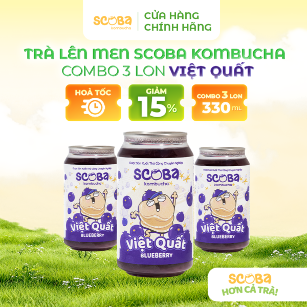 Combo 3 lon Trà lên men Scoba Kombucha - Bổ sung lợi khuẩn, tốt cho đường ruột - Vị VIỆT QUẤT - 330ml