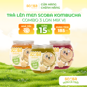 Trà lên men Scoba Kombucha mix vị 185ml