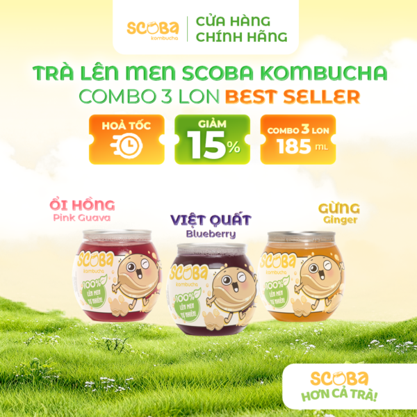 Trà lên men Scoba Kombucha - Hỗ trợ cân bằng hệ vi sinh đường ruột - Mix 3 vị BEST SELLER - 185ml
