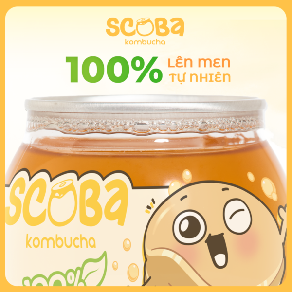Second image of [MUA 5 ĐƯỢC 6] Trà lên men Scoba Kombucha - Bổ sung lợi khuẩn - Vị Nguyên Bản - 185ml