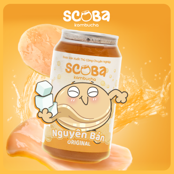 Second image of [MUA 5 ĐƯỢC 6] Trà lên men Scoba Kombucha - Vị Nguyên Bản - Men sống tự nhiên - 330ml