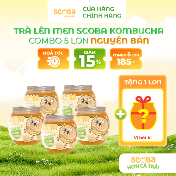 [MUA 5 ĐƯỢC 6] Trà lên men Scoba Kombucha - Bổ sung lợi khuẩn - Vị Nguyên Bản - 185ml