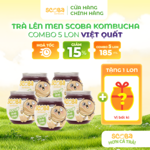 [MUA 5 ĐƯỢC 6] Trà lên men Scoba Kombucha - Vị Việt Quất - Giải khát lành mạnh - 185ml