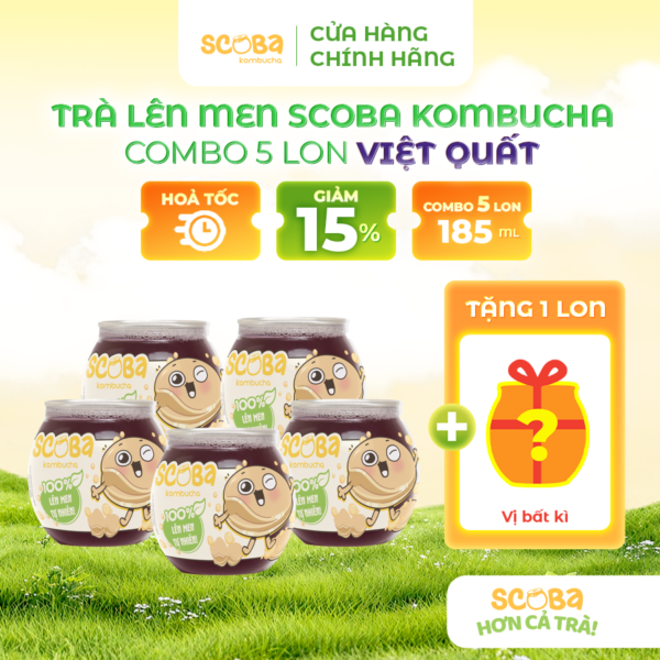 [MUA 5 ĐƯỢC 6] Trà lên men Scoba Kombucha - Vị Việt Quất - Giải khát lành mạnh - 185ml