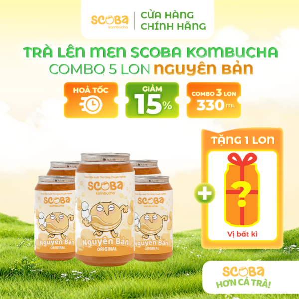 [MUA 5 ĐƯỢC 6] Trà lên men Scoba Kombucha - Vị Nguyên Bản - Men sống tự nhiên - 330ml