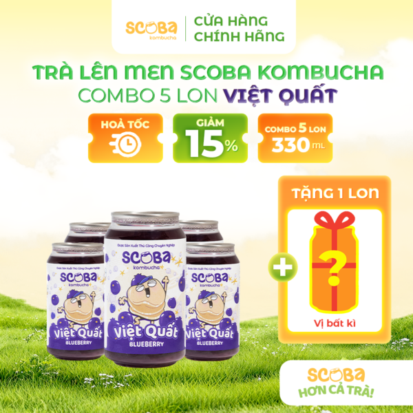 [MUA 5 ĐƯỢC 6] Trà lên men Scoba Kombucha - Vị Việt Quất - Hỗ trợ chống Oxy hoá - 330ml