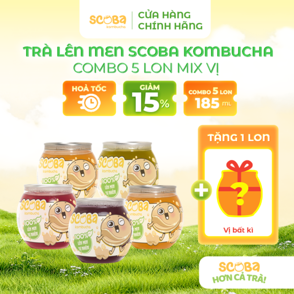 [MUA 5 ĐƯỢC 6] Trà lên men Scoba Kombucha - Hỗ trợ tiêu hoá - Mix vị - 185ml