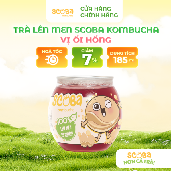 Trà lên men Scoba Kombucha - Giúp êm bụng, tăng cường đề kháng - Vị ỔI HỒNG - 185ml