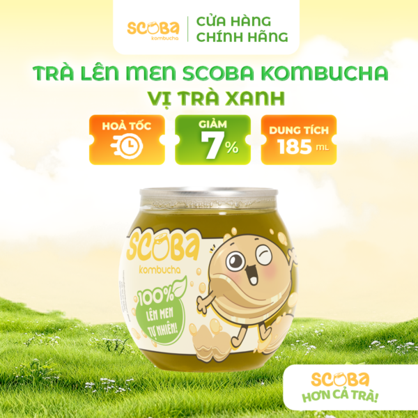 Trà lên men Scoba Kombucha - Tăng cường lợi khuẩn - Vị TRÀ XANH - 185ml