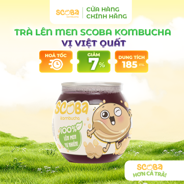 Trà lên men Scoba Kombucha - Giải nhiệt lành mạnh - Vị VIỆT QUẤT - 185ml