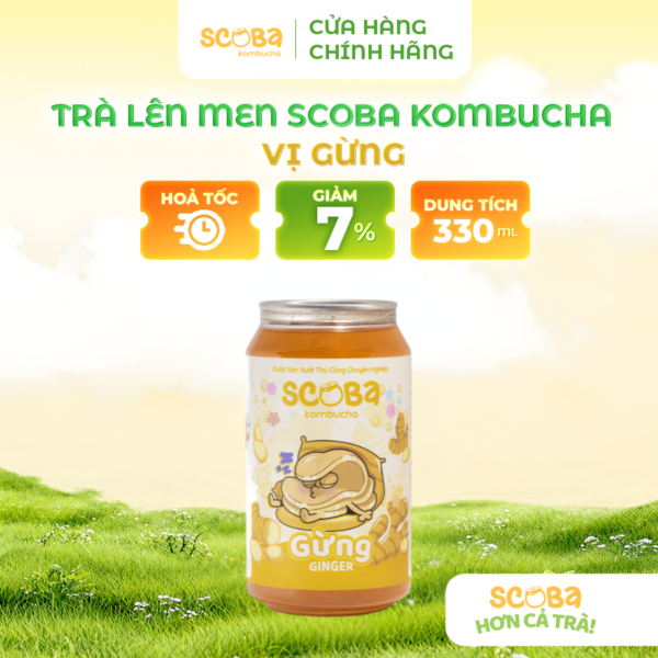 Trà lên men Scoba Kombucha - Hỗ trợ giảm đầy hơi, khó tiêu - Vị GỪNG - 330ml