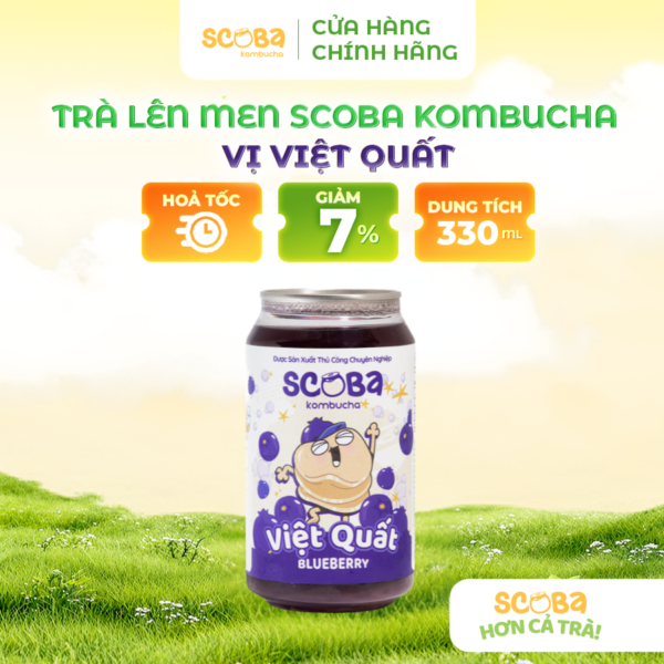 Trà lên men Scoba Kombucha - Giàu chất chống oxy hóa - Vị VIỆT QUẤT - 330ml
